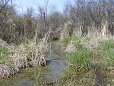 Traver Creek Sample Collection Site beside US23, 10 April 2010.